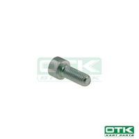 Cylinderbolt M8 x 20 mm